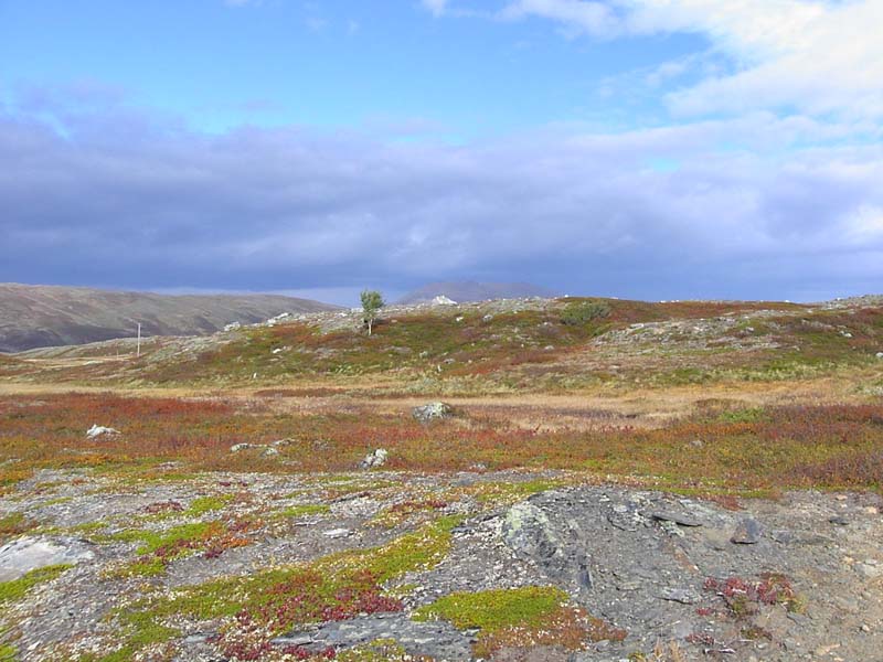 Jamtland_2003_(36)