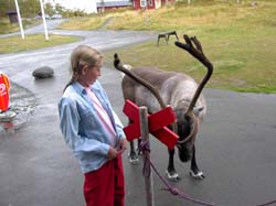Jamtland_2003_(41)