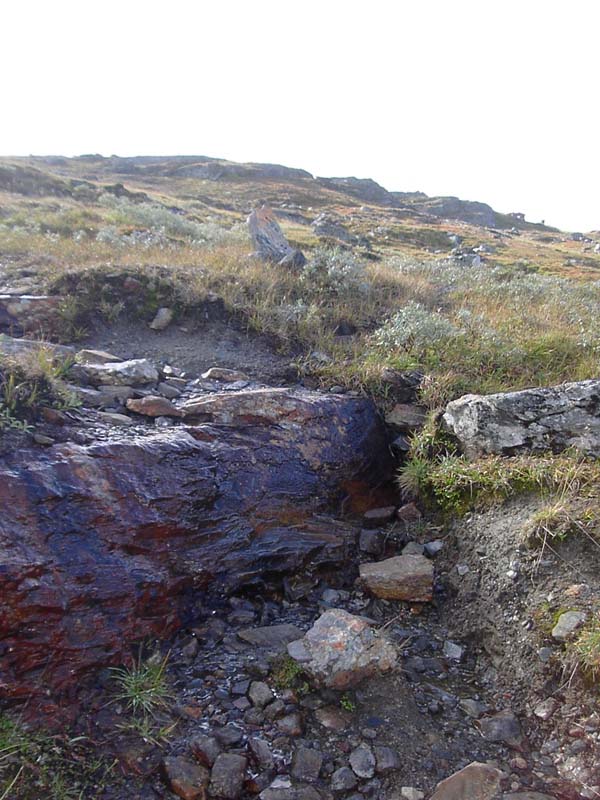 Jamtland_2004(21)