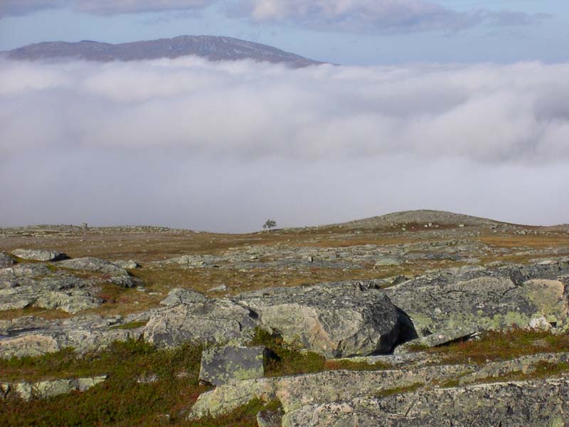 Jamtland_2004(31)