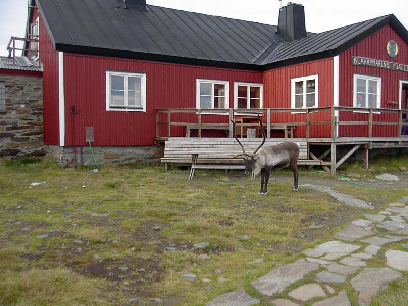 Jamtland_2004(46)
