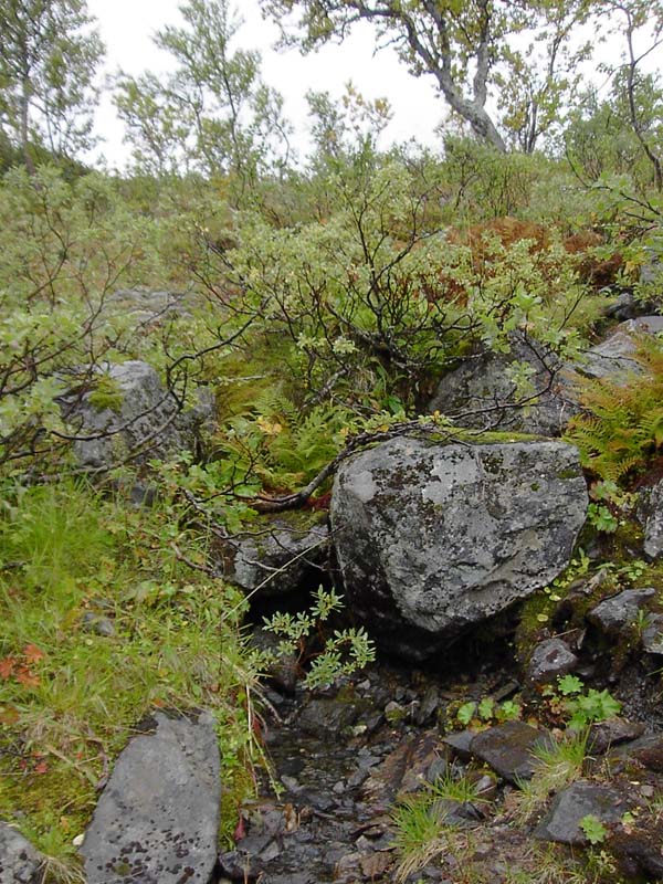 Jamtland_2004(55)