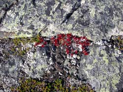 Jamtland_2004(29)