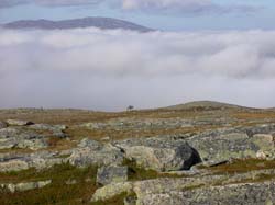 Jamtland_2004(31)