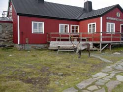 Jamtland_2004(46)
