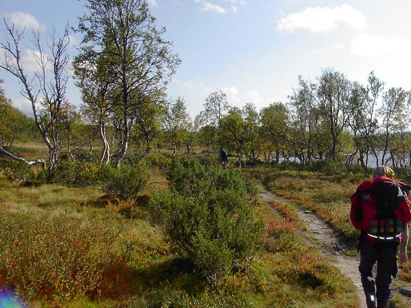 Jamtl2006(18)