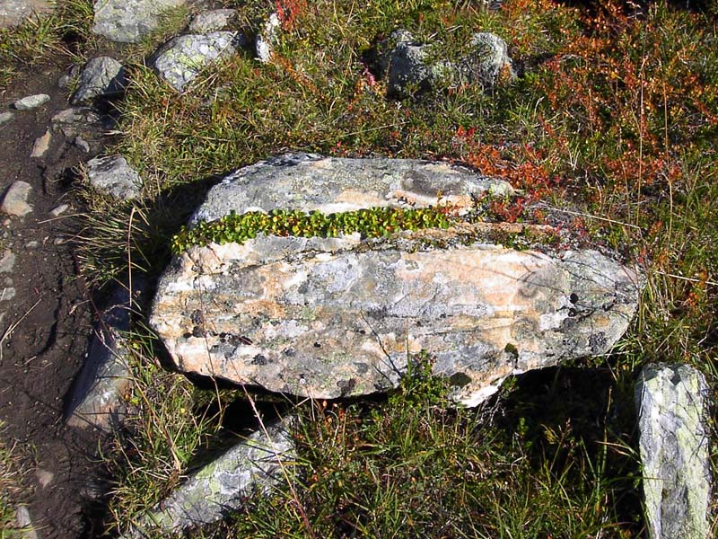 Jamtl2006(29)