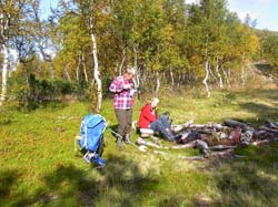 Jamtl2006(12)