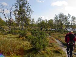 Jamtl2006(18)