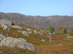 Jamtl2006(34)
