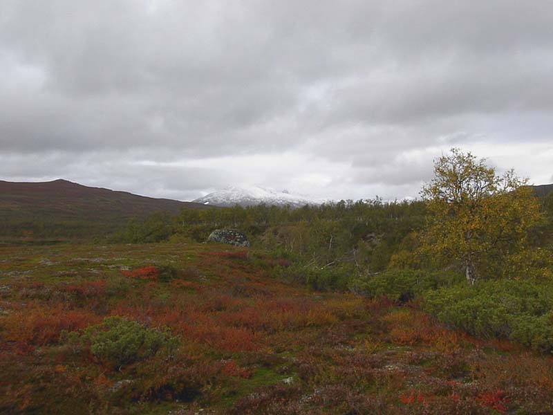Jamtland_3414