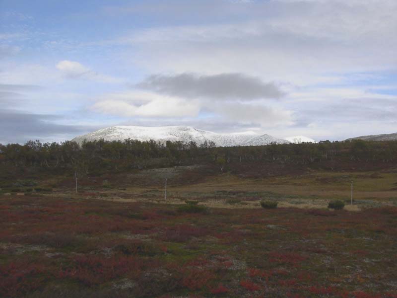 Jamtland_3420