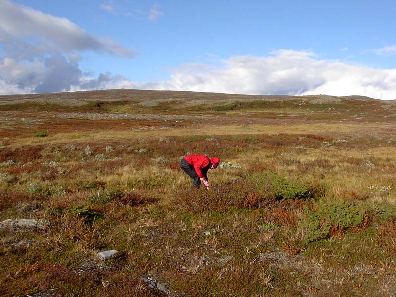 Jamtland_3436