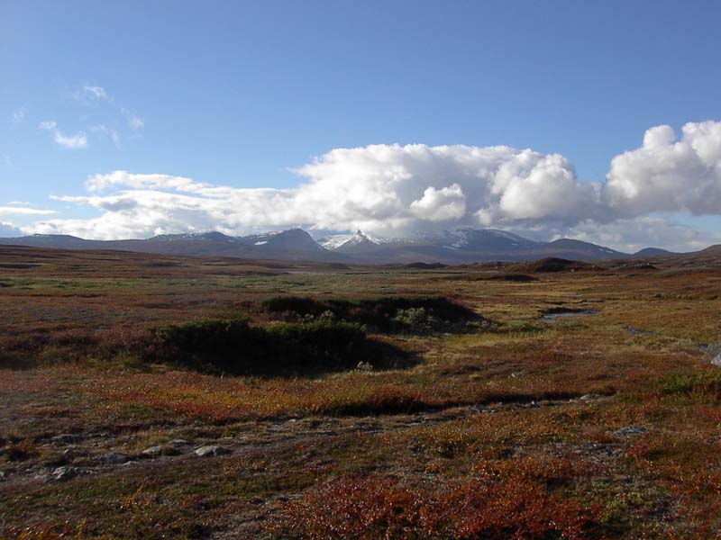 Jamtland_3437