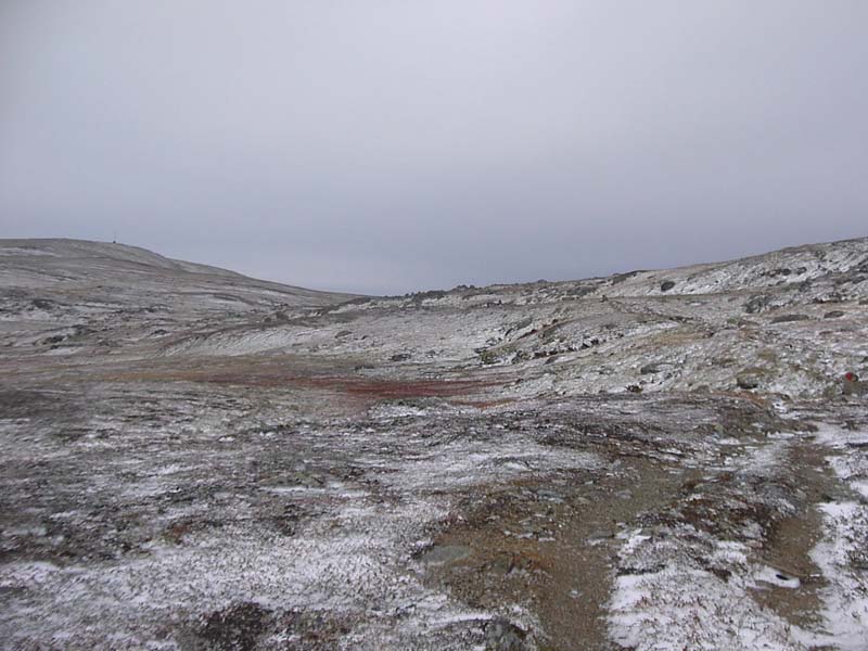 Jamtland_3441