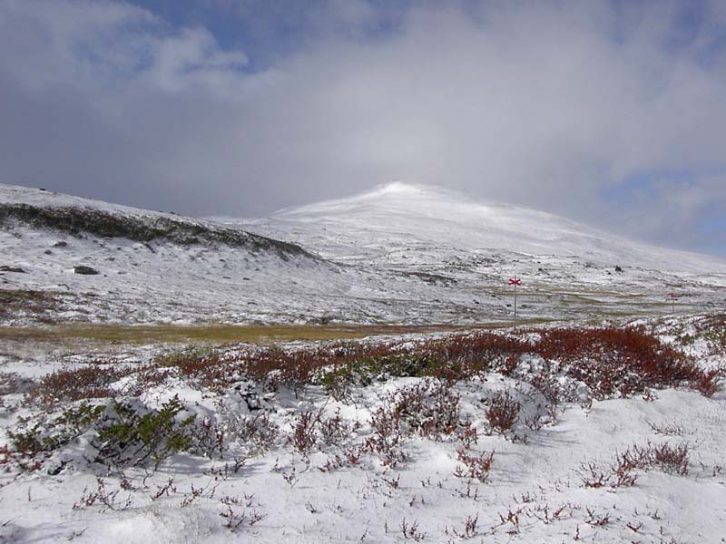 Jamtland_3442