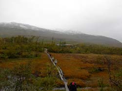 Jamtland_3409
