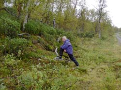 Jamtland_3412