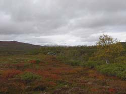Jamtland_3414