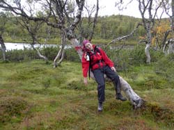 Jamtland_3416