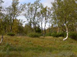 Jamtland_3418