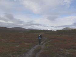 Jamtland_3419