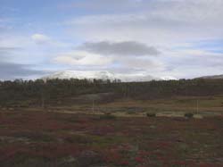 Jamtland_3420