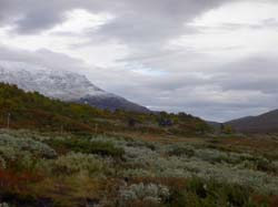 Jamtland_3421