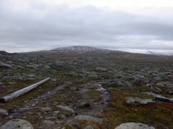 Jamtland_3428