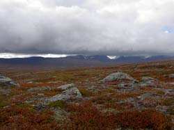 Jamtland_3431