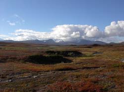 Jamtland_3437