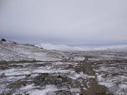 Jamtland_3438