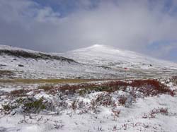 Jamtland_3442