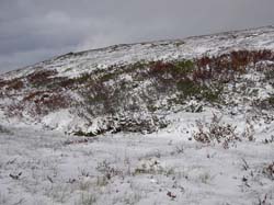Jamtland_3443