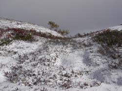 Jamtland_3444