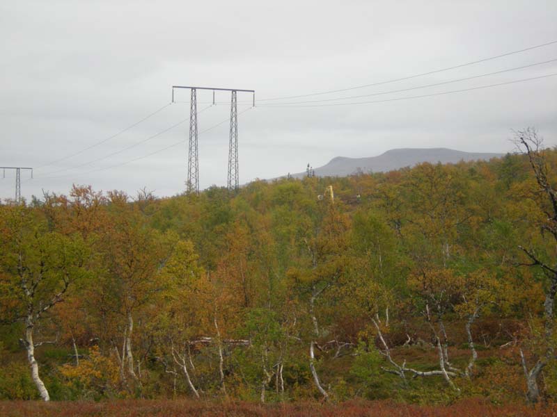2008-09-19 (2)