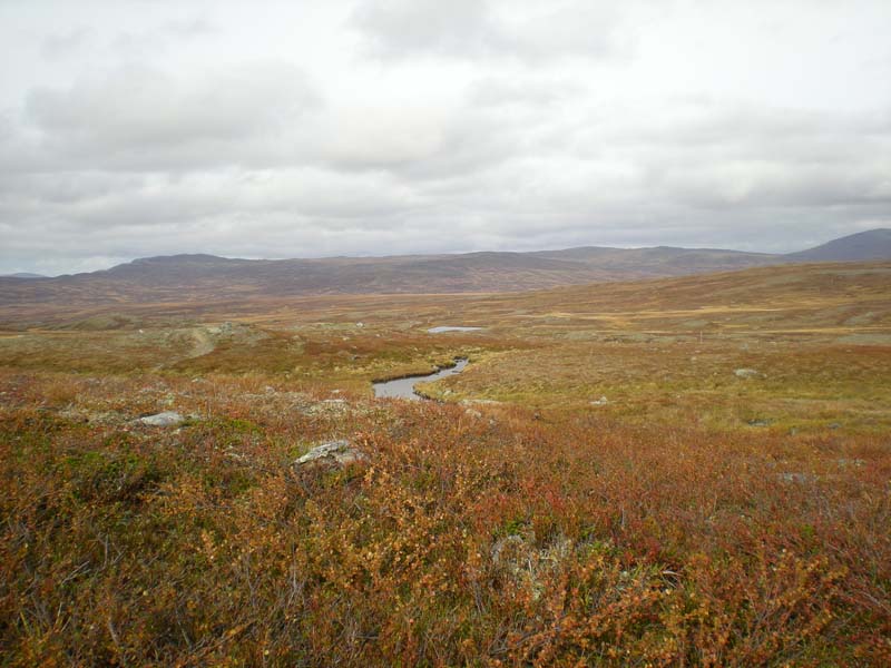 2008-09-20 (10)