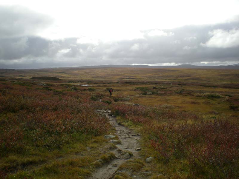 2008-09-20 (2)