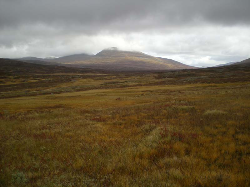 2008-09-20 (3)