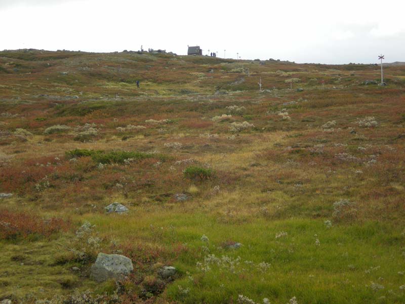2008-09-20 (5)