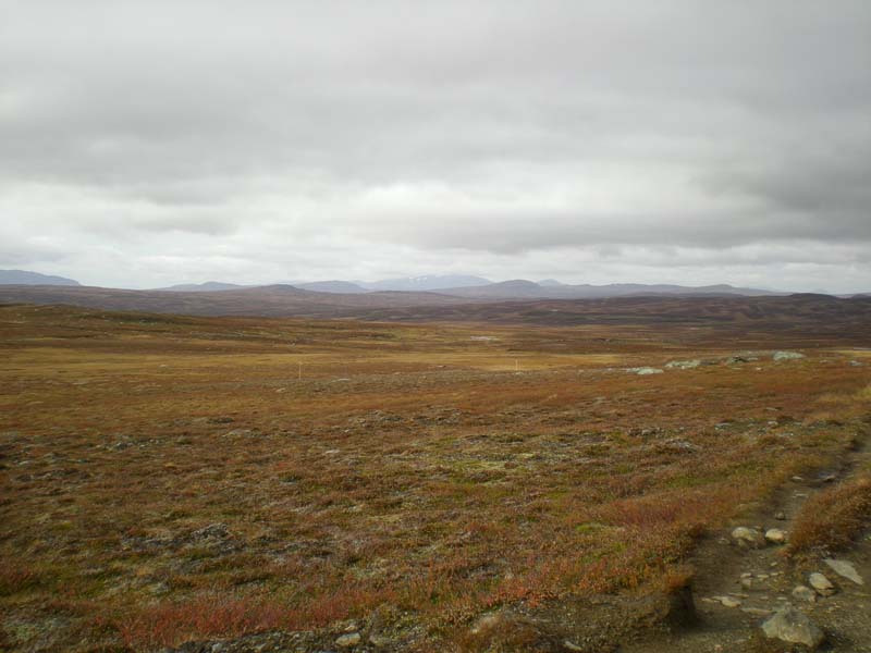 2008-09-20 (6)