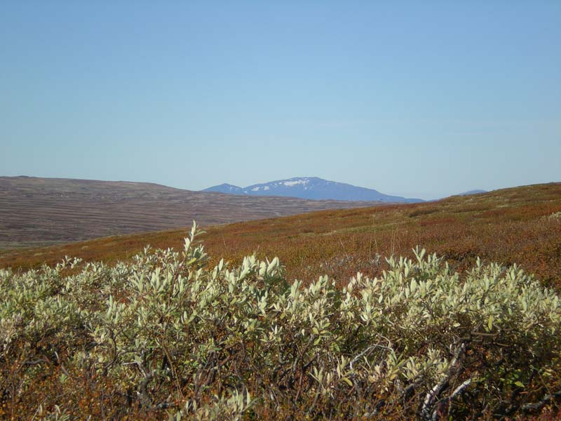 2008-09-21 (6)