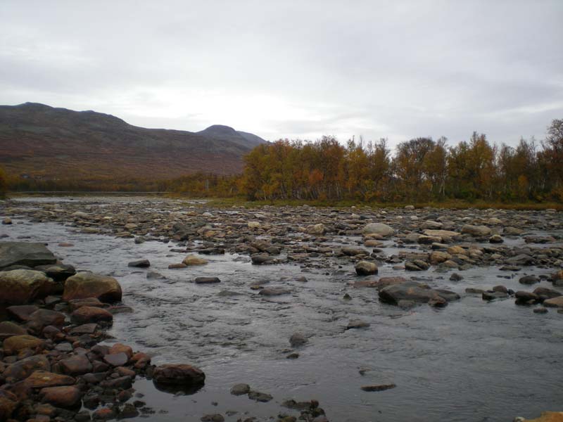 2008-09-22 (3)