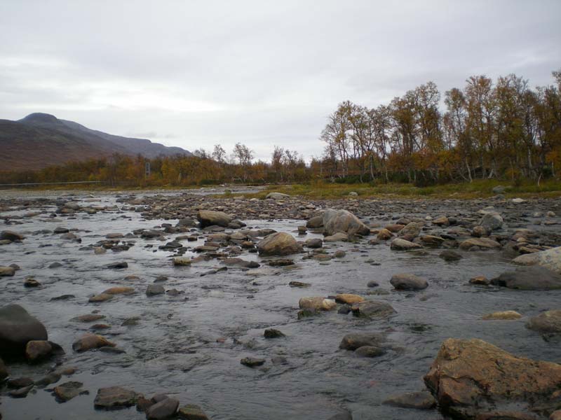 2008-09-22 (4)