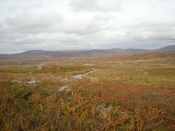 2008-09-20 (10)