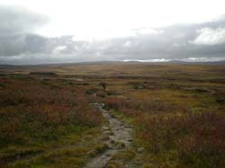 2008-09-20 (2)