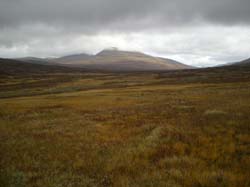 2008-09-20 (3)