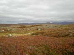 2008-09-20 (8)