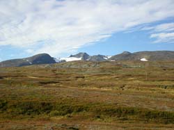 2008-09-21 (3)