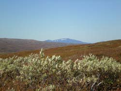 2008-09-21 (6)